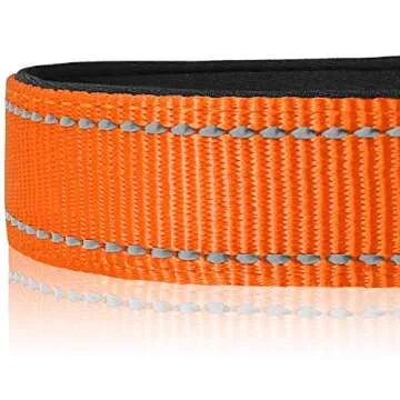 Joytale Dog Collar,Soft Neoprene Padded Breathable Nylon Pet Collar Adjustable for Medium Dogs,Orange,M