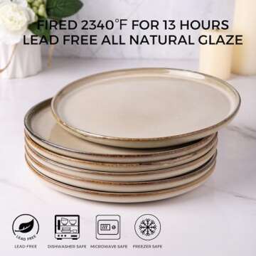 AmorArc Ceramic Plates Set of 6, 8.5 Inch Reactive Glaze Stoneware Plates set, Dessert, Salad, Appet...
