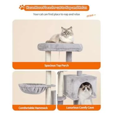 FISH&NAP Stylish & Safe Cat Tree for Kittens