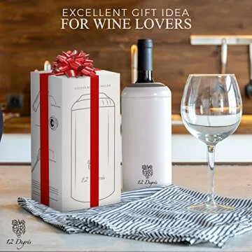 12 Degré’s Wine Chiller Set - Ideal Gift for Wine Lovers