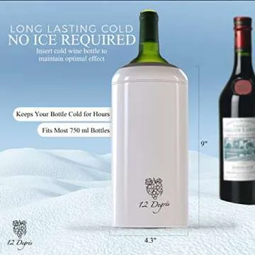 12 Degré’s Wine Chiller Set - Ideal Gift for Wine Lovers