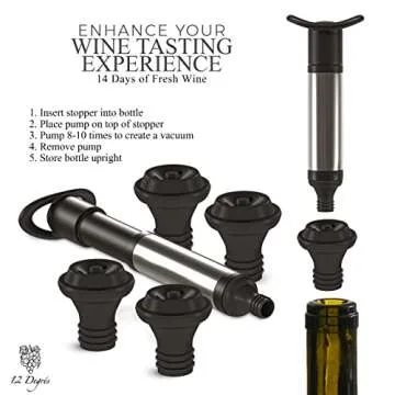 12 Degré’s Wine Chiller Set - Ideal Gift for Wine Lovers