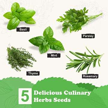 Indoor Herb Garden Starter Kit with Non-GMO Seeds and Tools