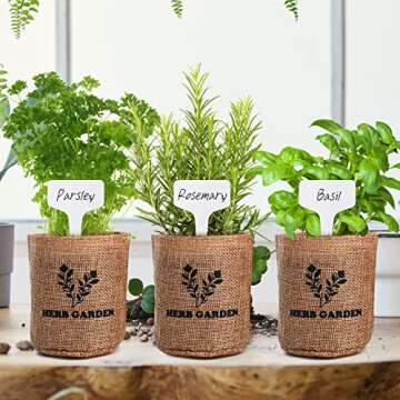 Indoor Herb Garden Starter Kit with Non-GMO Seeds and Tools