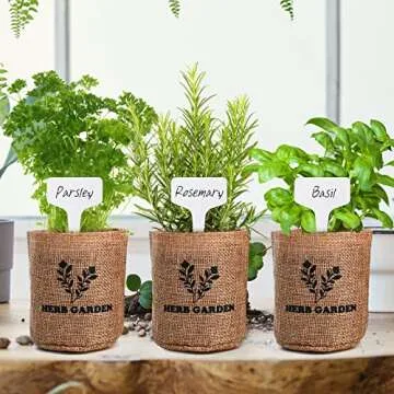 Indoor Herb Garden Starter Kit with Non-GMO Seeds and Tools