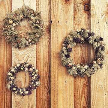 Sntieecr 2 Pieces 12 Inch Large Natural Grapevine Wreaths Vine Branch Door Wreath Rattan Wreath for DIY Wreath Craft Front Door Wall Hanging or Wedding Table Decors