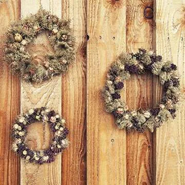Sntieecr 2 Pieces 12 Inch Large Natural Grapevine Wreaths Vine Branch Door Wreath Rattan Wreath for DIY Wreath Craft Front Door Wall Hanging or Wedding Table Decors