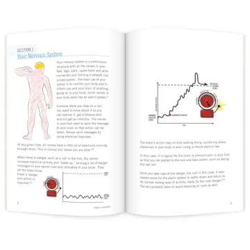 Your Guide to Spine Surgery and Recovery Education