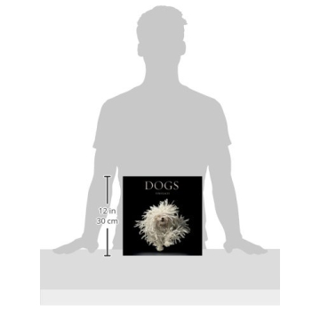 Tim Flach's Dogs Photography Book for Animal Lovers