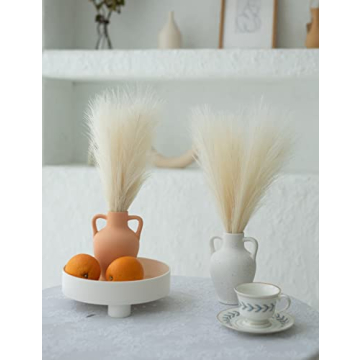 ChagoArt Faux Pampas Grass Decor - 6 Beige Stems for Chic Home