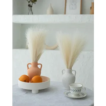 ChagoArt Faux Pampas Grass Decor - 6 Beige Stems for Chic Home