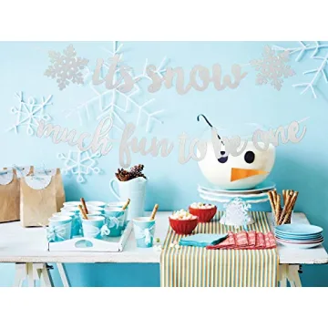 Delightful Snow Much Fun To Be One Birthday Banner