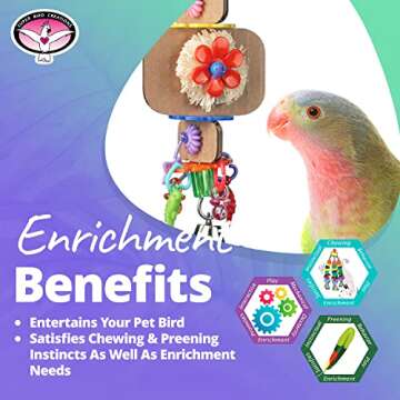 Super Bird Creations SB1090 Nibbles 'N Chips Bird Toy - Interactive Chew & Preening for Small to Medium Birds - Parrotlets Parakeets Cockatiel - Colorful Beads Chips & Corn Husk Chews - 8.5"x3"x1.5"