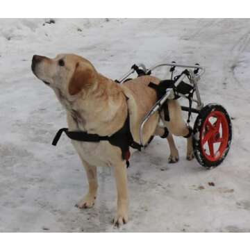 Best Friend Mobility Dog Wheelchair - Adjustable Support
