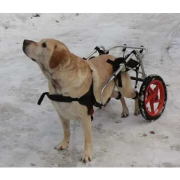 Best Friend Mobility Dog Wheelchair - Adjustable Support