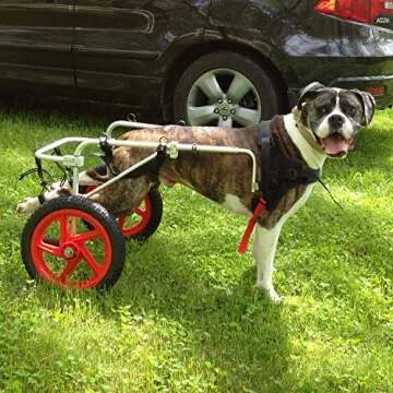 Best Friend Mobility Dog Wheelchair - Adjustable Support