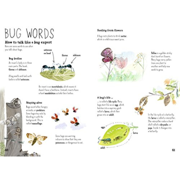 The Big Book of Bugs (The Big Book Series)