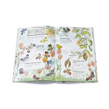 The Big Book of Bugs (The Big Book Series)