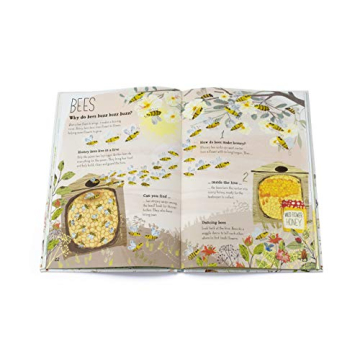 The Big Book of Bugs (The Big Book Series)