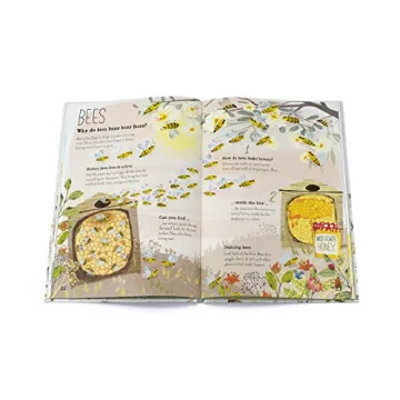 The Big Book of Bugs (The Big Book Series)