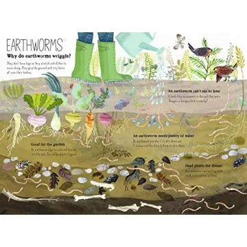 The Big Book of Bugs (The Big Book Series)