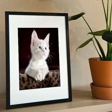 AINAHYVA Picture Frame Set - Stylish 8x10 Frame Trio