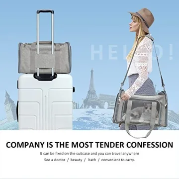 Henkelion Pet Carrier for Small Pets - TSA Approved Travel Carrier
