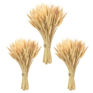 Phliofd 300 Stems Natural Dried Wheat Stalks for Elegant DIY Decor and Arrangements