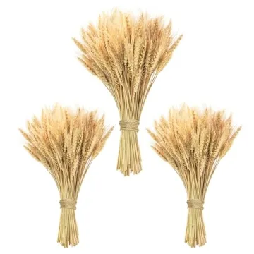 Phliofd 300 Stems Natural Dried Wheat Stalks for Elegant DIY Decor and Arrangements