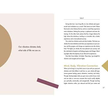 Vibrate Higher Daily Live Your Power by Lalah Delia