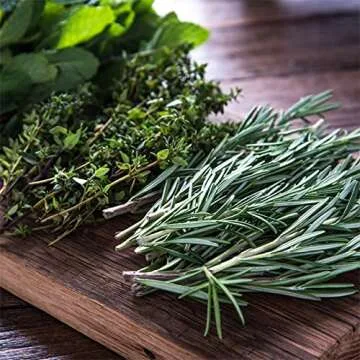 Culinary Indoor Herb Garden Starter Kit | Deluxe Herb Seeds | 12 Non-GMO Varieties | Grow Cooking Herbs & Spices | Seeds: Cilantro, Arugula, Thyme, Sage, Chives, Dill, Basil, More