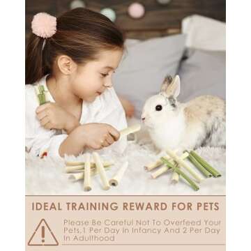 Bissap Rabbit Chew Sticks 40PCS Natural Molar Treats for Small Animals