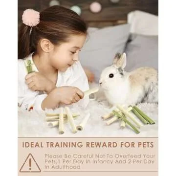 Bissap Rabbit Chew Sticks 40PCS Natural Molar Treats for Small Animals