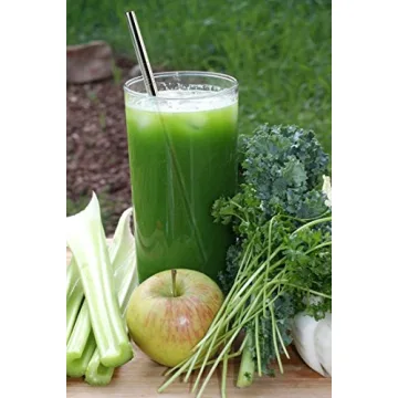 ALINK Stainless Steel Smoothie Straws | Eco-Friendly & Reusable 9 Inch Set