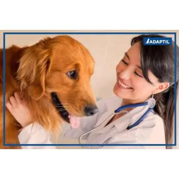 ADAPTIL Spray 60 mL - A Vet Recommended Calming Solution