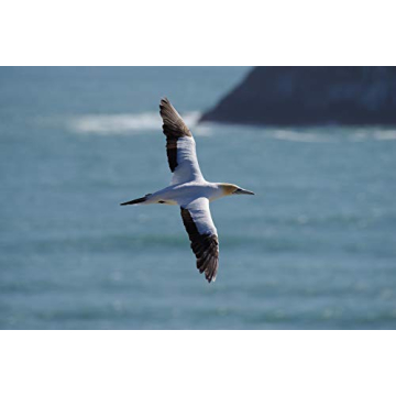 Pentax K-1 II Full Frame 36MP Weather Resistant DSLR