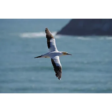 Pentax K-1 II Full Frame 36MP Weather Resistant DSLR