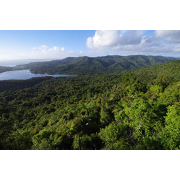 Pentax K-1 II Full Frame 36MP Weather Resistant DSLR