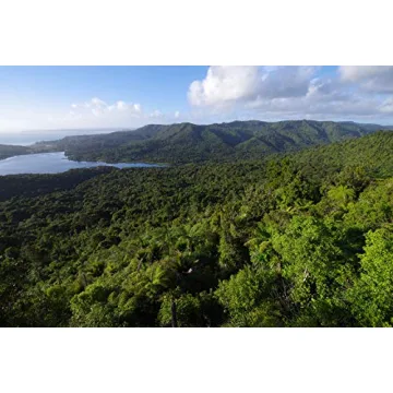 Pentax K-1 II Full Frame 36MP Weather Resistant DSLR