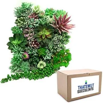 Thatswut - 35 Pack Bulk Large Assorted Realistic Artificial Faux Succulents Aloe Plants Realistic Fa...
