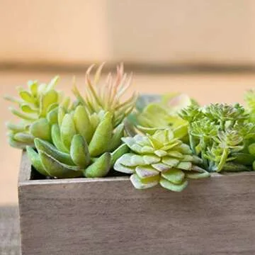 Thatswut - 35 Pack Bulk Large Assorted Realistic Artificial Faux Succulents Aloe Plants Realistic Fake Succulent Plants, Largest Set of Succulents