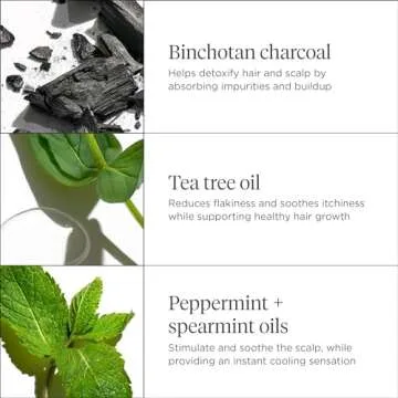 Briogeo Charcoal + Tea Tree Scalp Treatment | Revitalize Your Hair