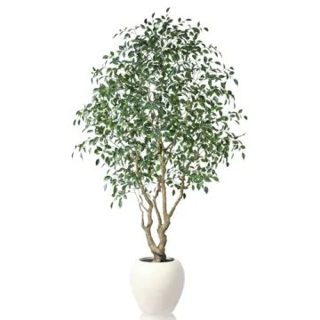 SOGUYI Ficus Tree Artificial Indoor, 8 Feet Tall Faux Ficus Tree with Round Artisan Planter, Premium...