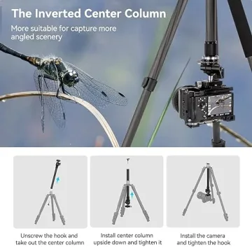 Compact Carbon Fiber Tripod for Travel & Photography