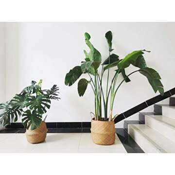 Large Seagrass Plant Basket with Handles, Wicker Woven Storage Basket (14.1“ Diameter x 13.8" Heig...