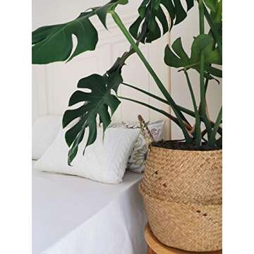 Large Seagrass Plant Basket with Handles, Wicker Woven Storage Basket (14.1“ Diameter x 13.8" Height), Natural)