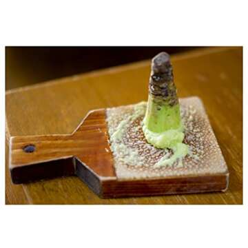 Japanese Classic Grater for Authentic Wasabi & Ginger