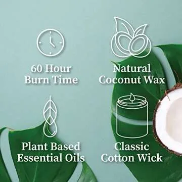 Hemlock Park Classic Wick Candle with Natural Coconut Wax