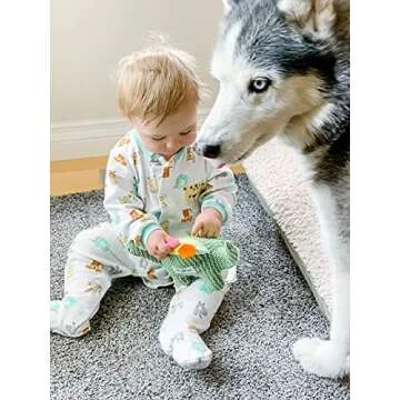 HugSmart Pet - Dinosaur Land | Squeaky Plush Dog Toys for Small Medium Dogs| Textured Sandwich Mesh ...