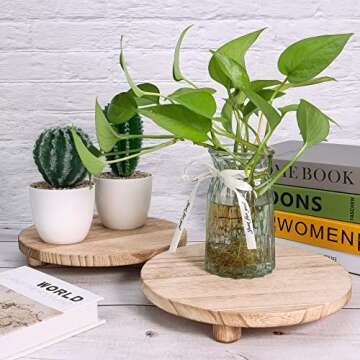 Woodreen 2 Pack Wood Stool Plant Riser, Round Small Plant Stand, Rustic Stool Flower Pot Holder, Mod...
